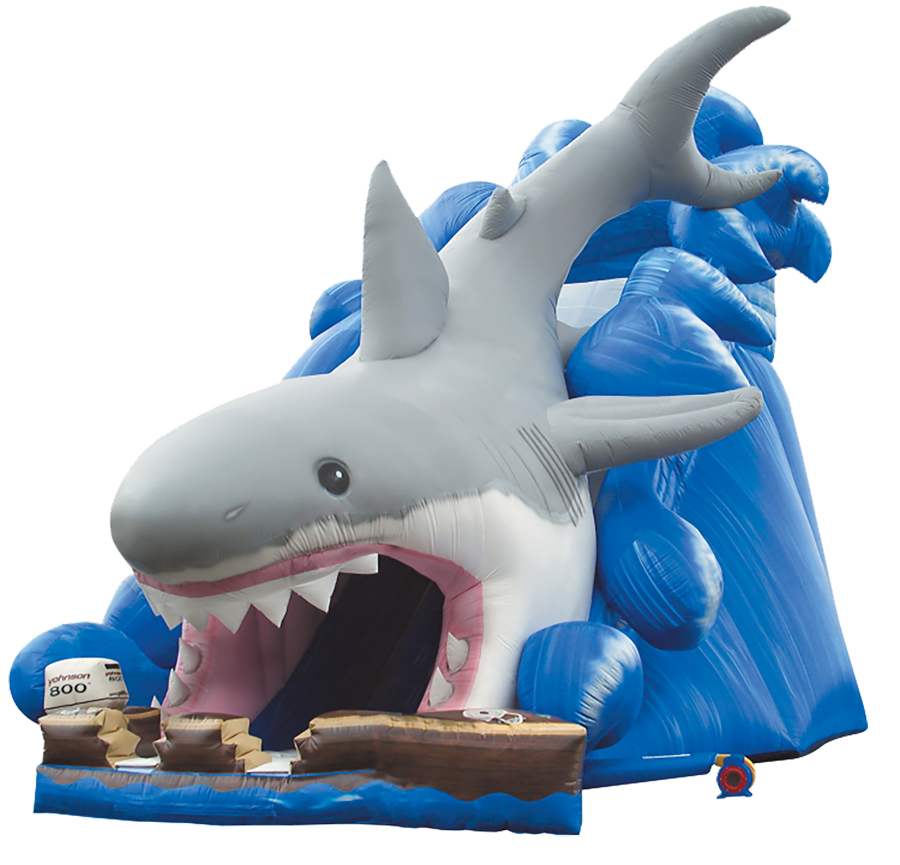 WSG-Shark-web